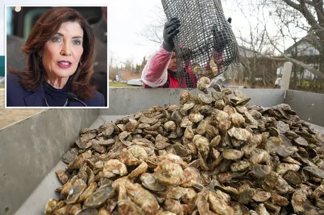 Long Island Could Be Declared "Disaster Zone" Due to Oyster Crisis; Prices Set to Soar