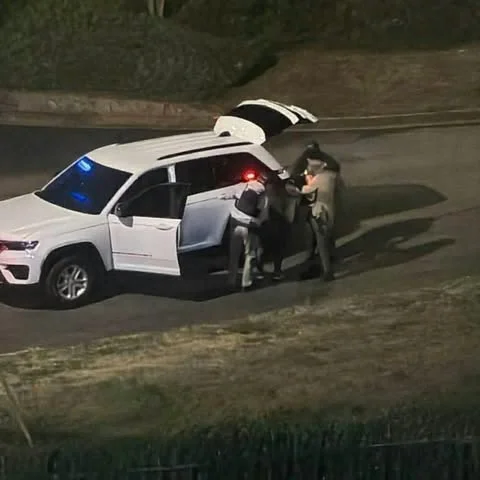 Nhiều người bị bắt trong chiến dịch ICE tại khu căn hộ Decatur sáng sớm