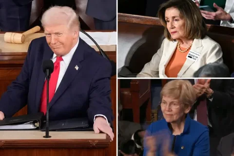 President Trump Calls for Ban on Congressional Stock Trading, Senator Elizabeth Warren Stands and Applauds